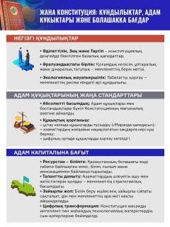 Конституционная реформа — 41