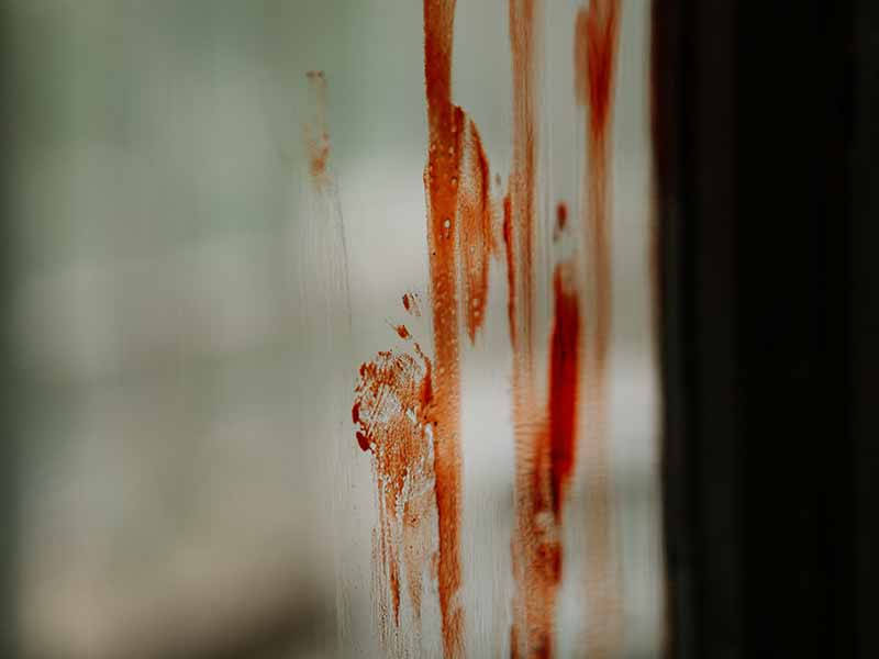 Трагедия в столице:  убил родных и выпрыгнул в окно (видео)