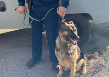 В Акмолинской области служебная собака нашла краденое по запаху