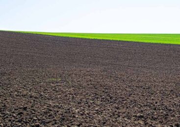 На 10 мая в Казахстане засеяно 1,5 млн. га сельхозземель