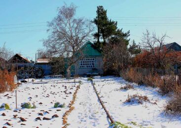 На исходе дачного сезона или на пороге неизвестности