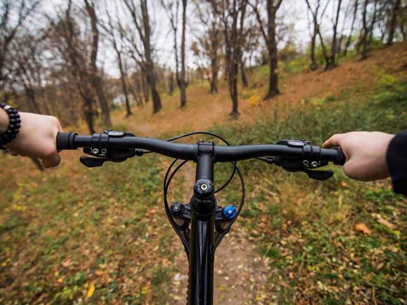 <?php echo esc_attr( get_the_title() ) ?>