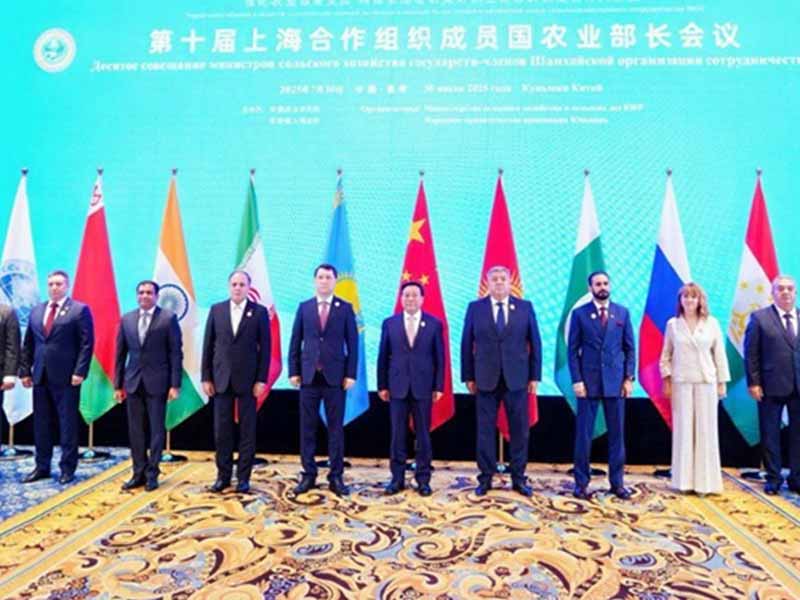 <?php echo esc_attr( get_the_title() ) ?>