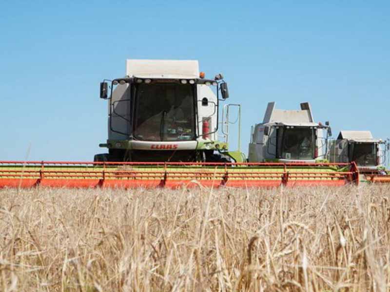 <?php echo esc_attr( get_the_title() ) ?>