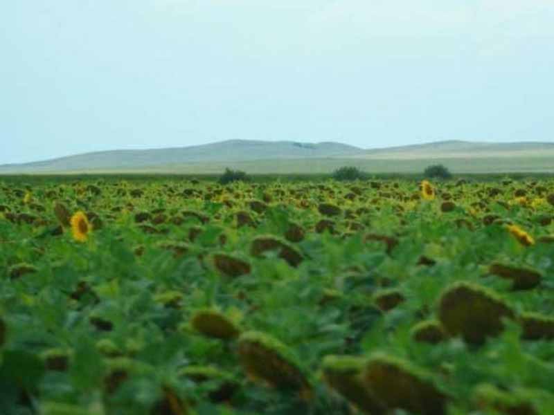 <?php echo esc_attr( get_the_title() ) ?>