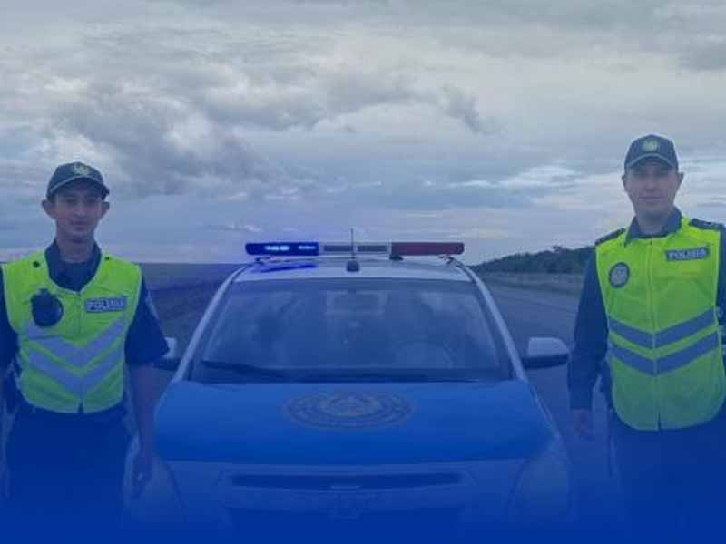 <?php echo esc_attr( get_the_title() ) ?>