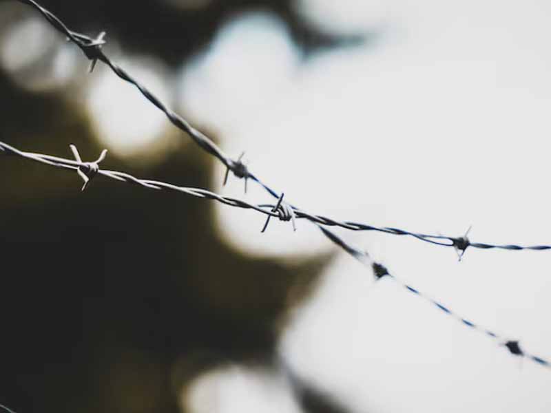 <?php echo esc_attr( get_the_title() ) ?>