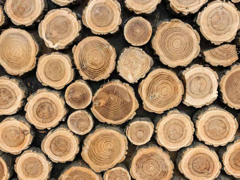 <?php echo esc_attr( get_the_title() ) ?>