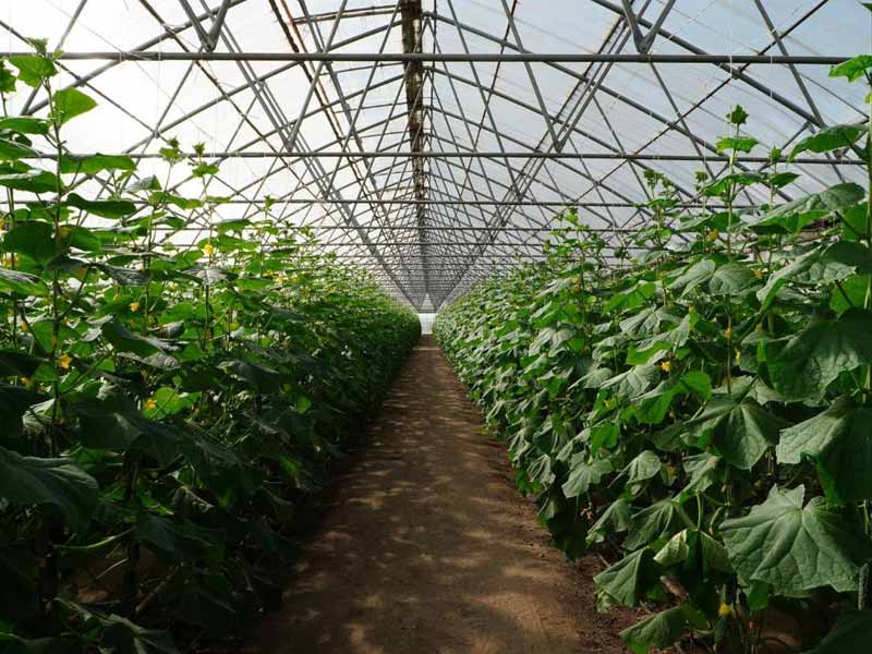 <?php echo esc_attr( get_the_title() ) ?>