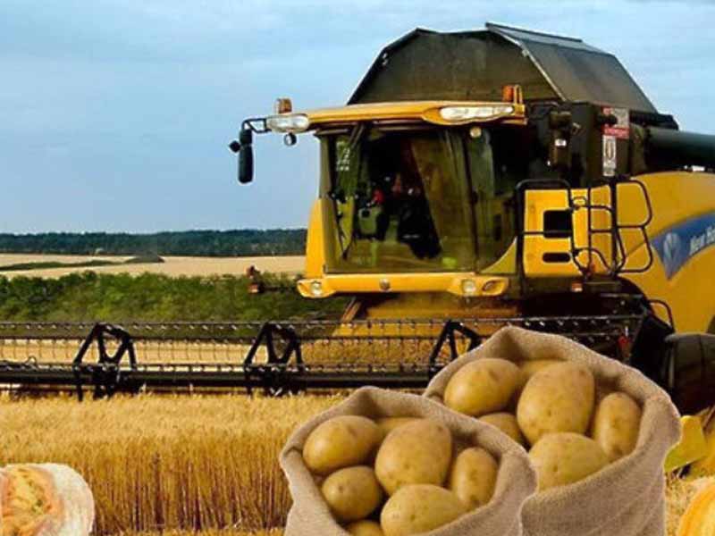 <?php echo esc_attr( get_the_title() ) ?>