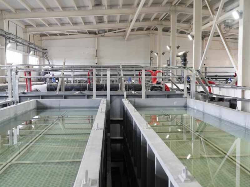 <?php echo esc_attr( get_the_title() ) ?>