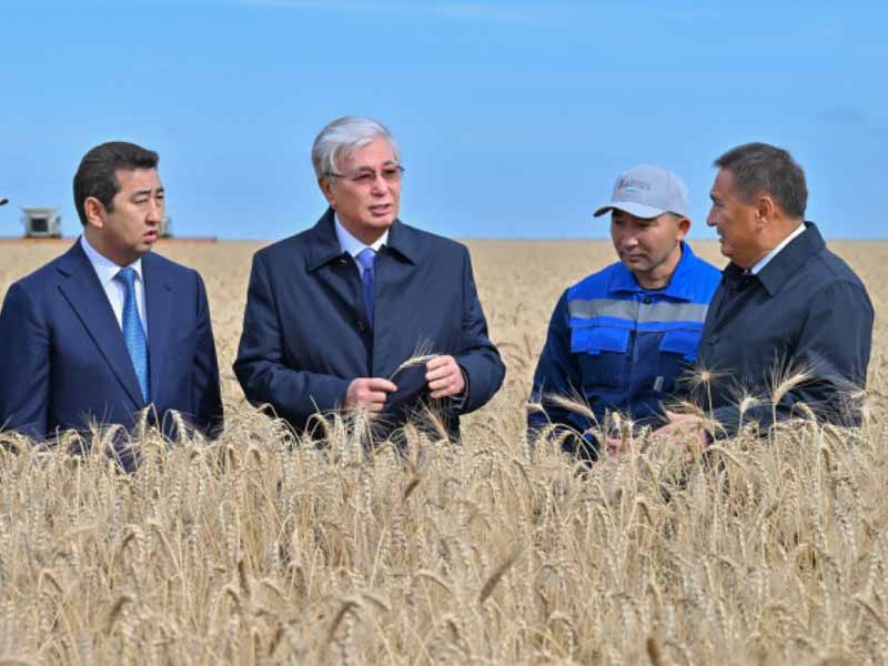 <?php echo esc_attr( get_the_title() ) ?>