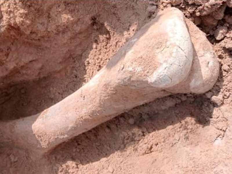 <?php echo esc_attr( get_the_title() ) ?>