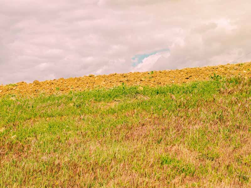 <?php echo esc_attr( get_the_title() ) ?>