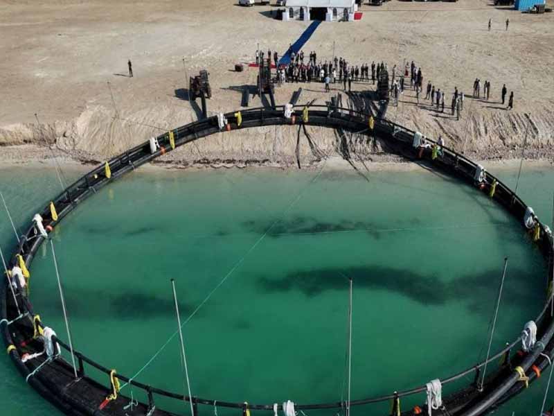 <?php echo esc_attr( get_the_title() ) ?>