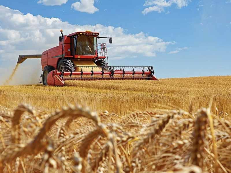 <?php echo esc_attr( get_the_title() ) ?>