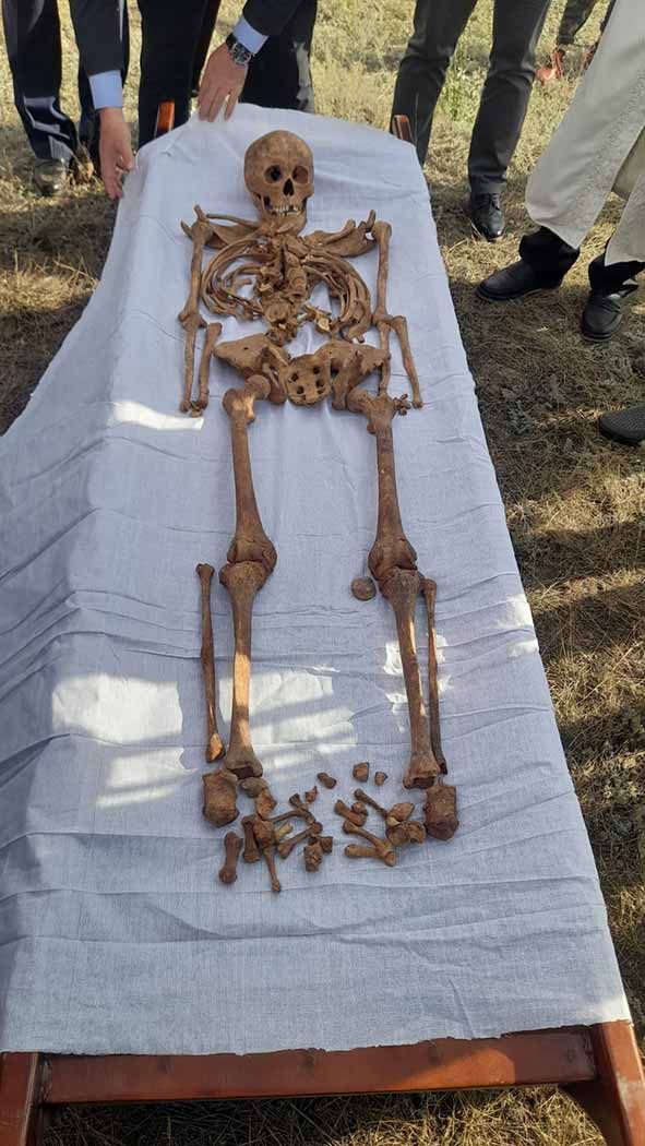 Суккубус секс 3D бейне Желіде сексуалдық бейнелерді қараңыз