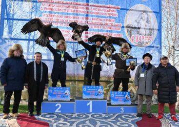 В Сандыктауском районе состоялся международный турнир «Қансонар» среди мастеров охоты с ловчими птицами