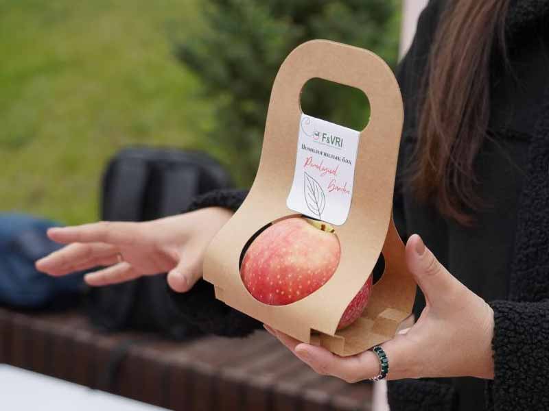 <?php echo esc_attr( get_the_title() ) ?>