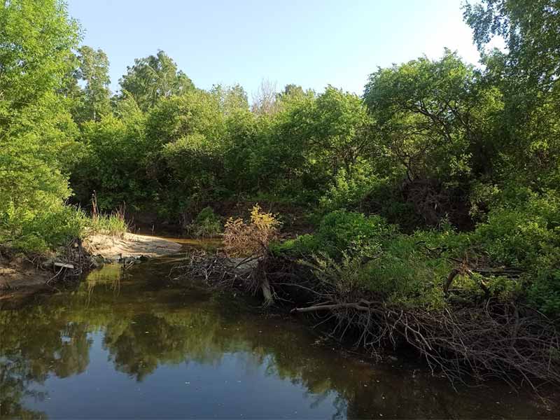 <?php echo esc_attr( get_the_title() ) ?>