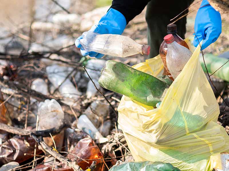 <?php echo esc_attr( get_the_title() ) ?>