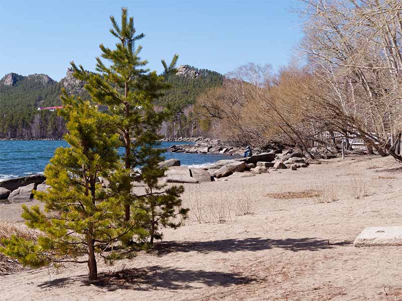 <?php echo esc_attr( get_the_title() ) ?>