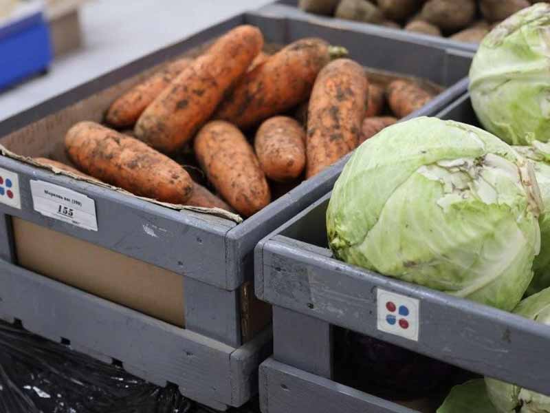 <?php echo esc_attr( get_the_title() ) ?>