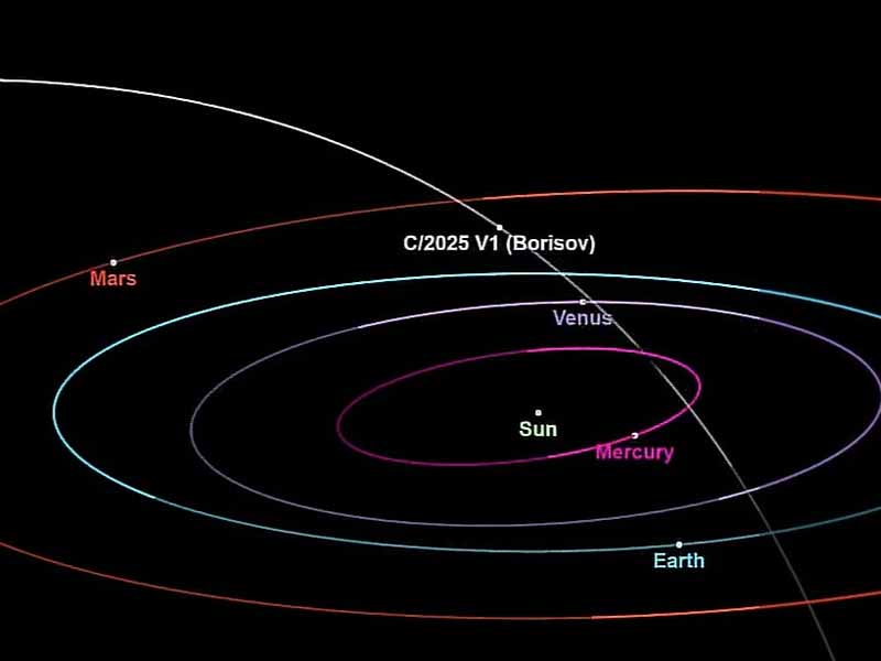 <?php echo esc_attr( get_the_title() ) ?>