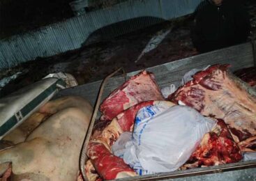 В Атбасаре полицейские задержали автомобиль с мясной продукцией без документов