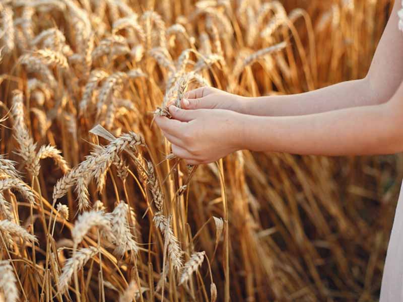 <?php echo esc_attr( get_the_title() ) ?>