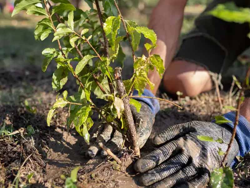 <?php echo esc_attr( get_the_title() ) ?>