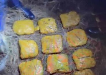 Более 12 кг синтетического наркотика изъяли наркоборцы в Акмолинской области