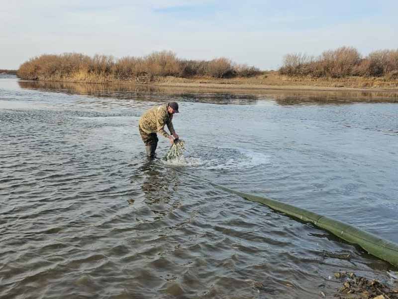 <?php echo esc_attr( get_the_title() ) ?>