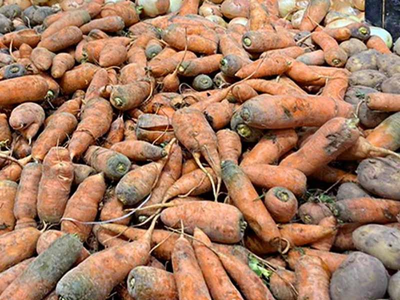 <?php echo esc_attr( get_the_title() ) ?>