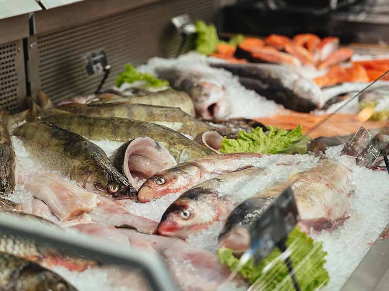 <?php echo esc_attr( get_the_title() ) ?>