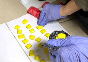 Подростки из Астаны задержаны за сбыт синтетических наркотиков в СКО  (видео)