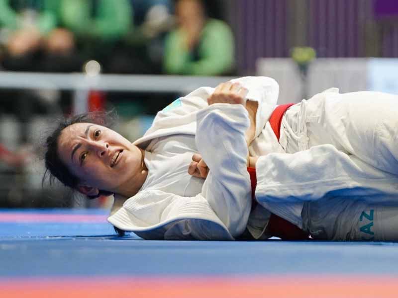 <?php echo esc_attr( get_the_title() ) ?>