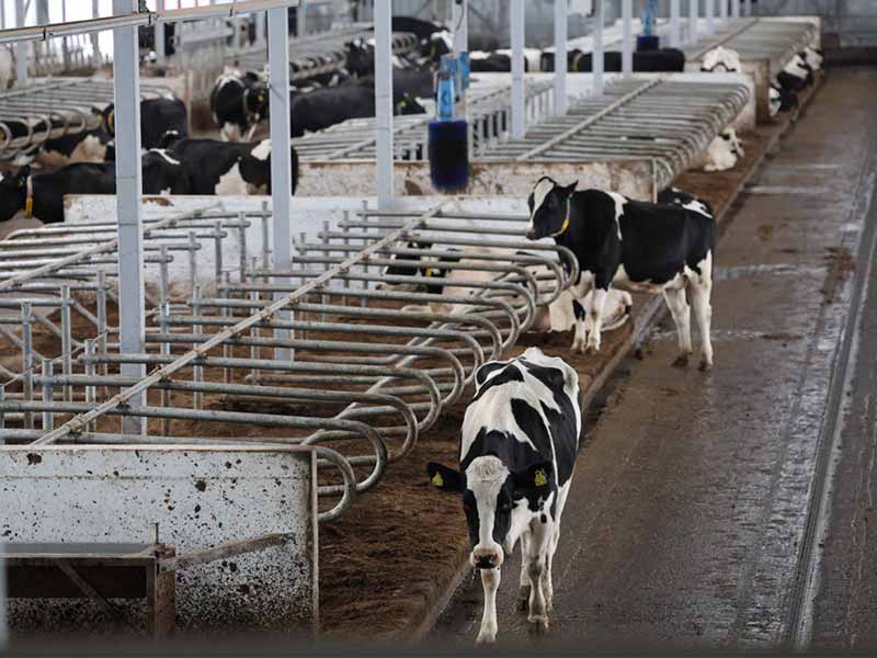 <?php echo esc_attr( get_the_title() ) ?>