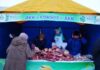 200 тонн продуктов по доступным ценам: в Кокшетау прошла областная ярмарка