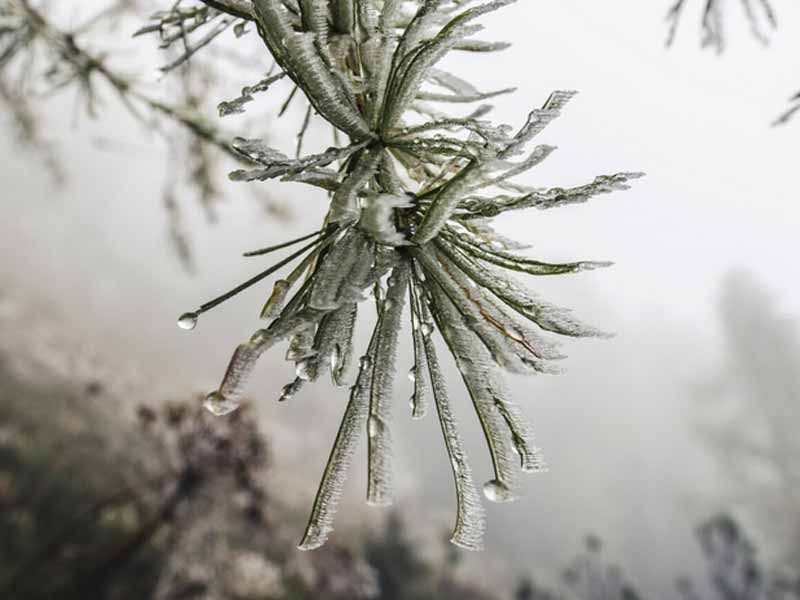 <?php echo esc_attr( get_the_title() ) ?>