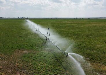 Фермерам ограничат подачу воды при превышении лимитов посевов