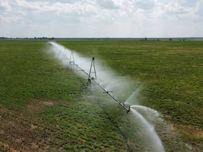 <?php echo esc_attr( get_the_title() ) ?>