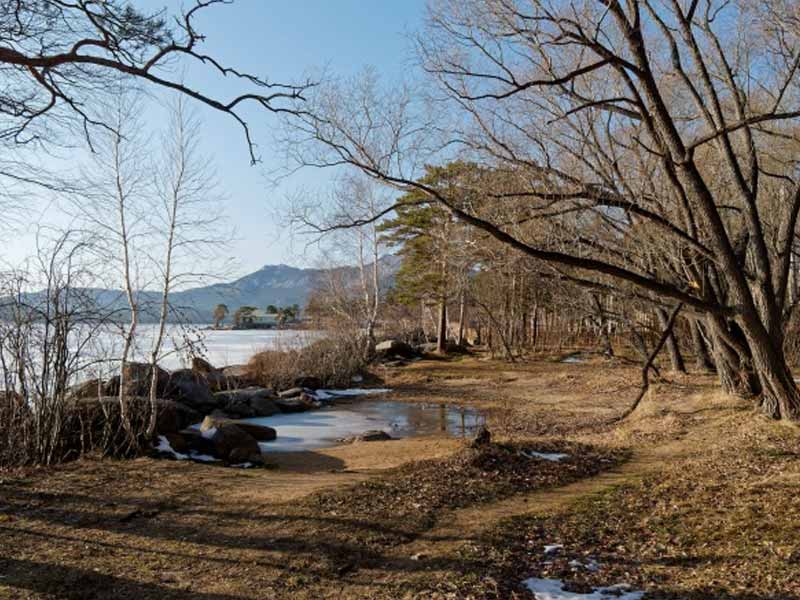 <?php echo esc_attr( get_the_title() ) ?>