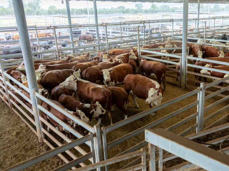 <?php echo esc_attr( get_the_title() ) ?>