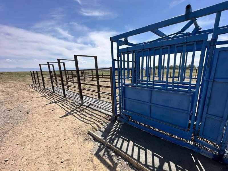 <?php echo esc_attr( get_the_title() ) ?>