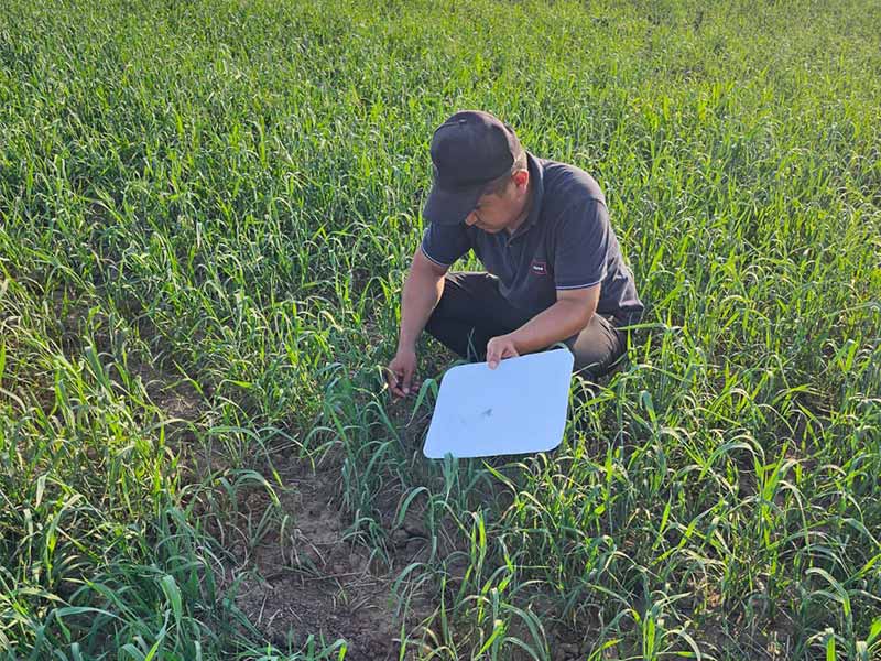 <?php echo esc_attr( get_the_title() ) ?>