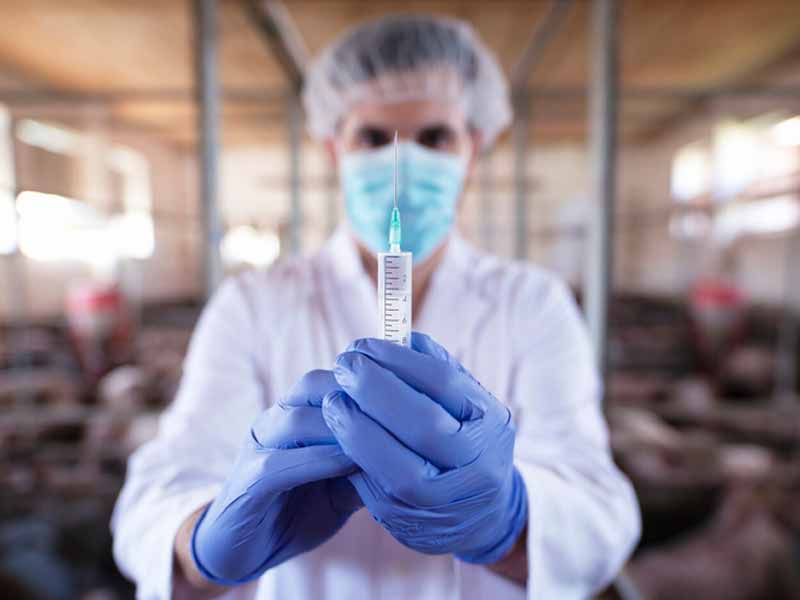 <?php echo esc_attr( get_the_title() ) ?>