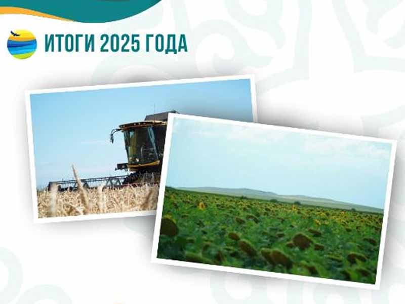 <?php echo esc_attr( get_the_title() ) ?>