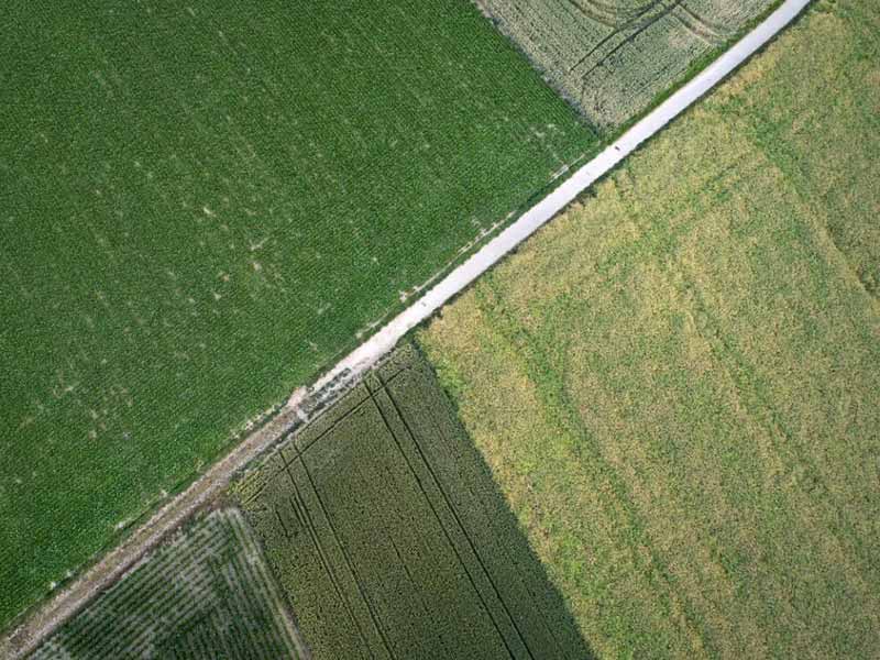 <?php echo esc_attr( get_the_title() ) ?>