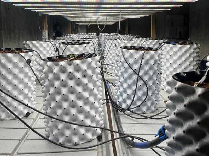 <?php echo esc_attr( get_the_title() ) ?>